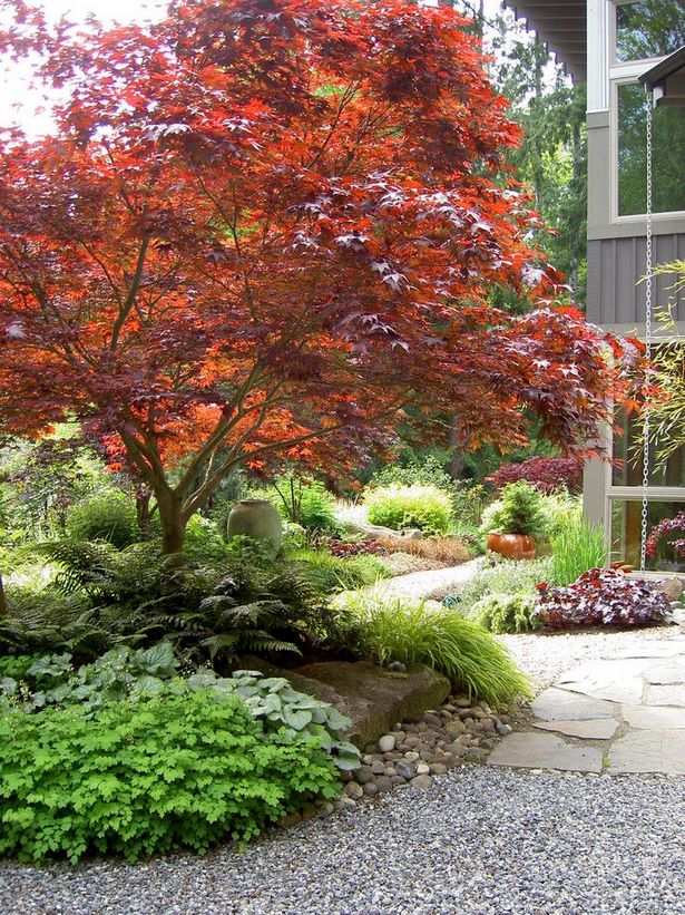 japanese-maple-garden-design-ideas-72_5 Японски клен градина дизайн идеи