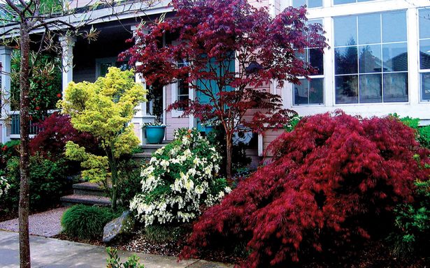 japanese-maple-garden-design-ideas-72_8 Японски клен градина дизайн идеи