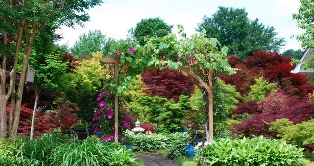 Японски клен градина дизайн
