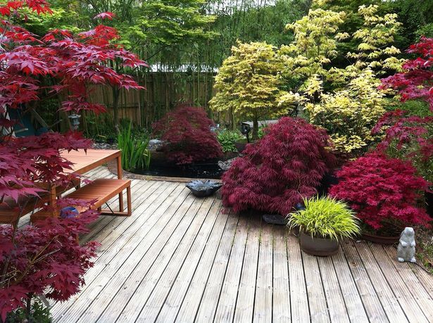 japanese-maple-garden-design-70_3 Японски клен градина дизайн
