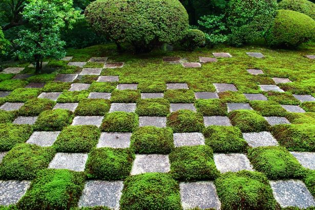 japanese-moss-garden-design-83_10 Японски мъх градина дизайн