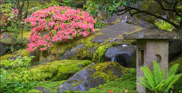 japanese-moss-garden-design-83_7 Японски мъх градина дизайн