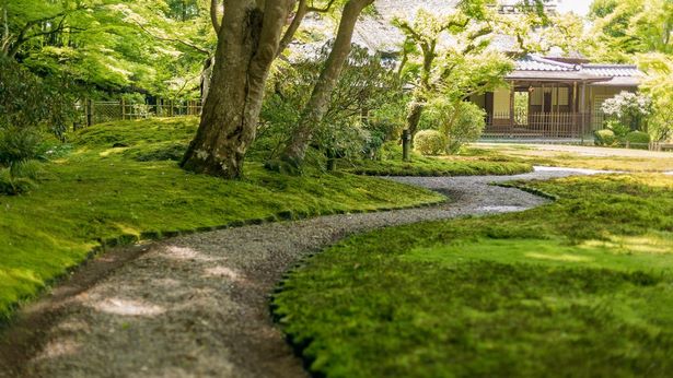 japanese-moss-garden-design-83_8 Японски мъх градина дизайн