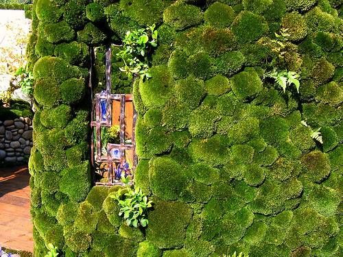 japanese-moss-garden-plants-86_8 Японски градински мъх
