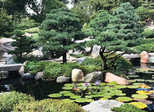 Японски идеи за дизайн на езерце