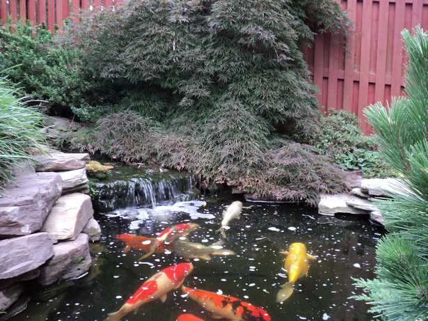 japanese-pond-design-ideas-82_14 Японски идеи за дизайн на езерце