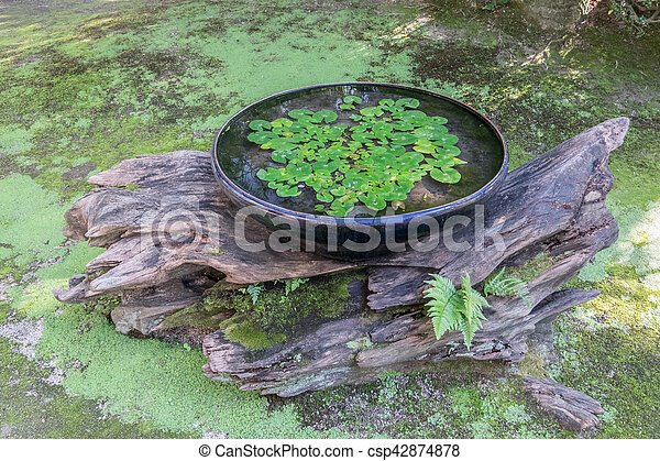 japanese-pond-plants-99_10 Японски езерни растения