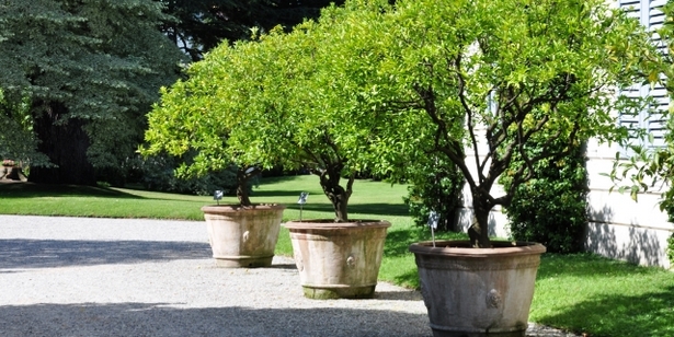 japanese-style-garden-pots-63_2 Градински саксии в японски стил