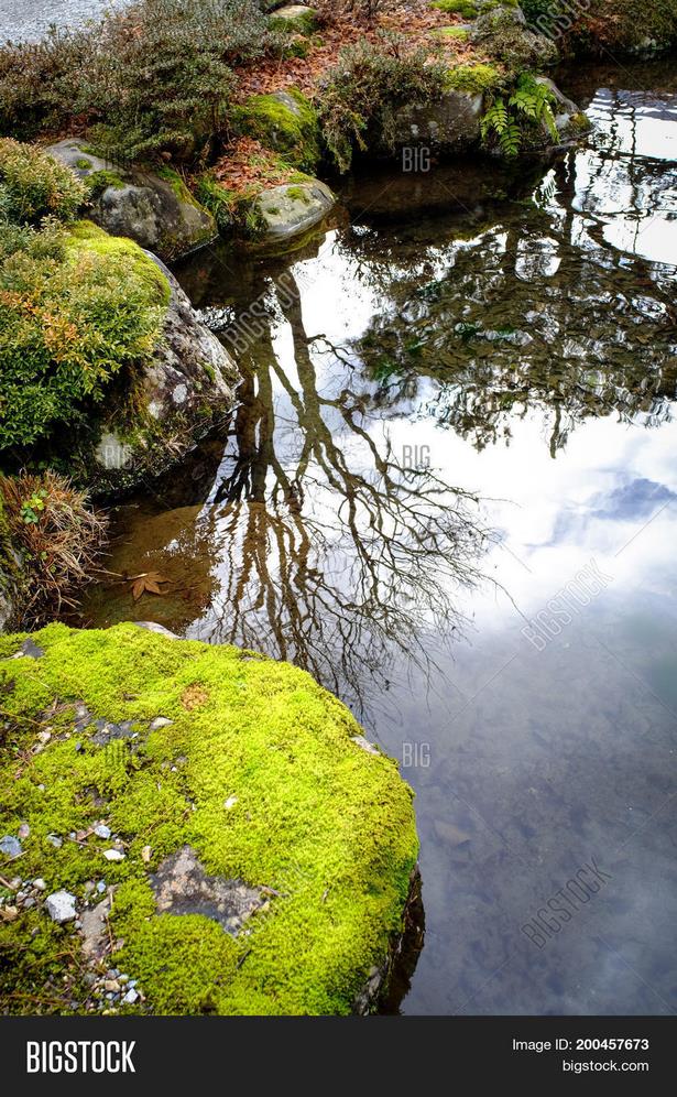 japanese-style-pond-78_2 Езерце в японски стил