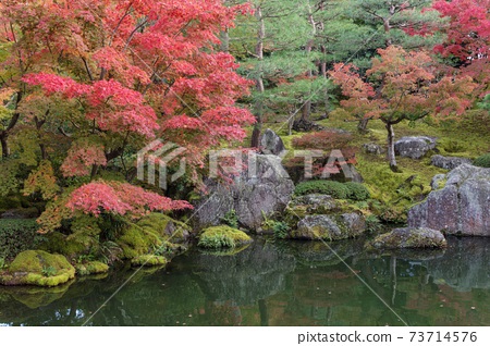 japanese-style-pond-78_5 Езерце в японски стил