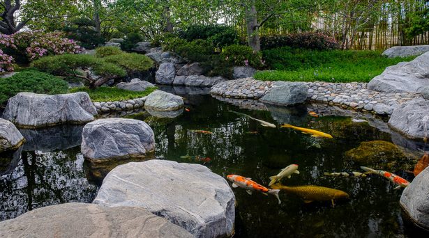 koi-pond-japanese-garden-89_10 Езерце кои японска градина