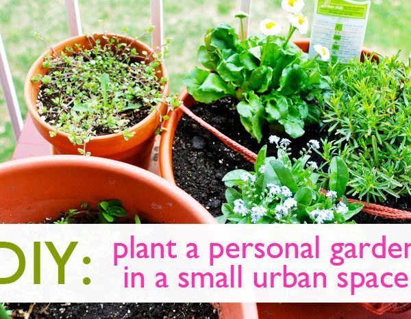 planting-in-a-small-space-28_11 Засаждане в малко пространство