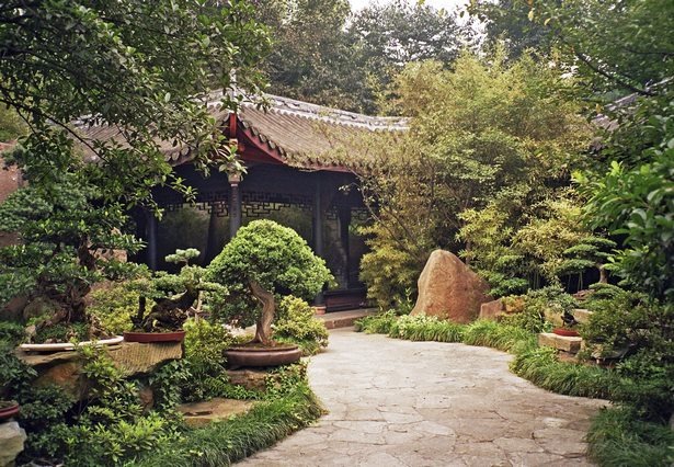 Растения за градина в азиатски стил