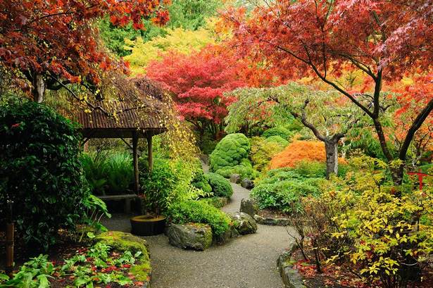 plants-for-oriental-style-garden-58 Растения за ориенталски стил градина