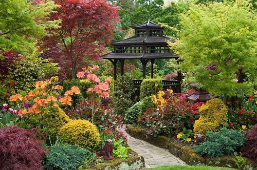 plants-for-oriental-style-garden-58_6 Растения за ориенталски стил градина