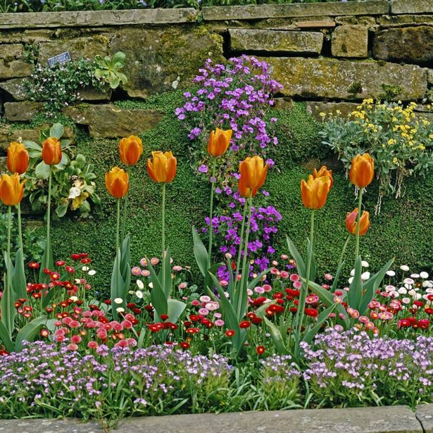 small-colorful-garden-ideas-94_4 Малки цветни градински идеи