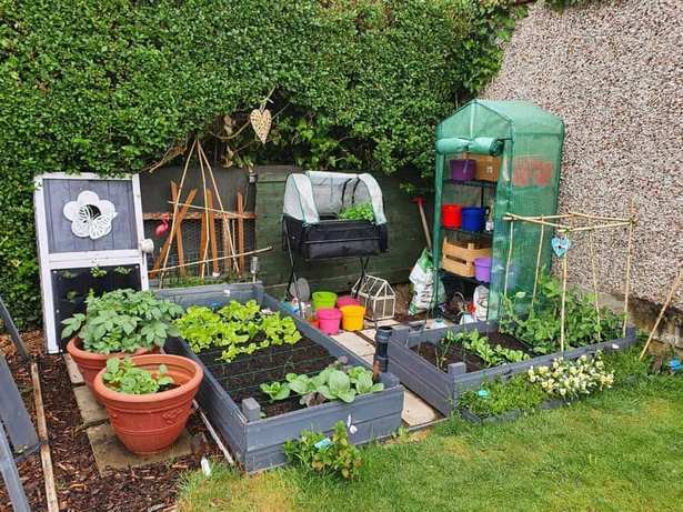 small-garden-patch-ideas-61_20 Малка градинска кръпка идеи