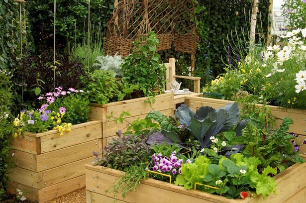 small-garden-what-to-plant-34_13 Малка градина какво да засадят