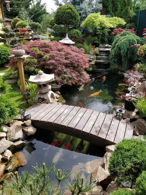 small-japanese-garden-pond-25_3 Малко японско градинско езерце