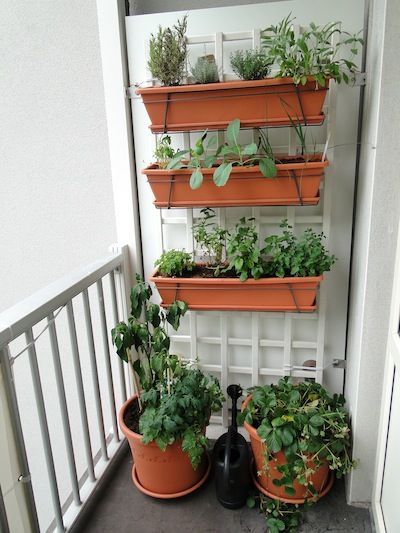 small-patio-vegetable-garden-ideas-68_13 Малък вътрешен двор зеленчукова градина идеи