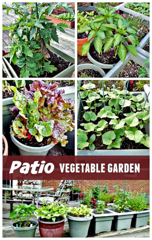 small-patio-vegetable-garden-ideas-68_14 Малък вътрешен двор зеленчукова градина идеи