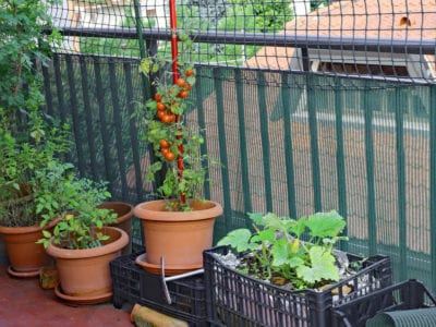 small-patio-vegetable-garden-ideas-68_3 Малък вътрешен двор зеленчукова градина идеи