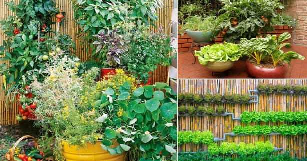 small-patio-vegetable-garden-ideas-68_8 Малък вътрешен двор зеленчукова градина идеи