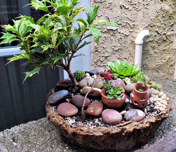 small-pot-garden-14_9 Малка саксия градина