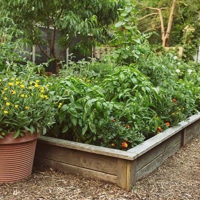 small-space-vegetable-garden-design-ideas-39 Малки идеи за дизайн на зеленчукова градина