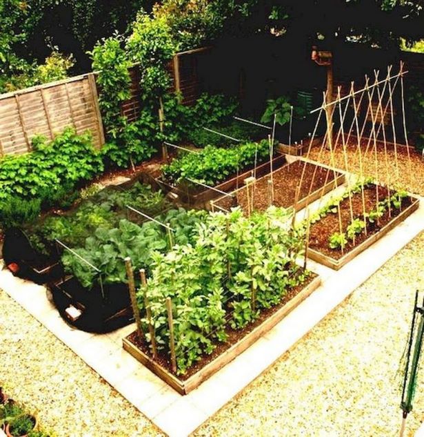 small-space-vegetable-garden-design-42_12 Малко пространство зеленчукова градина дизайн