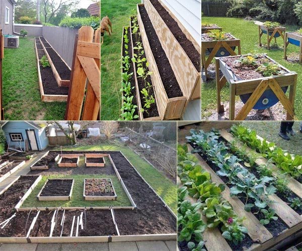 small-space-vegetable-garden-design-42_14 Малко пространство зеленчукова градина дизайн