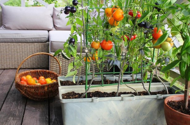small-space-vegetable-garden-design-42_15 Малко пространство зеленчукова градина дизайн
