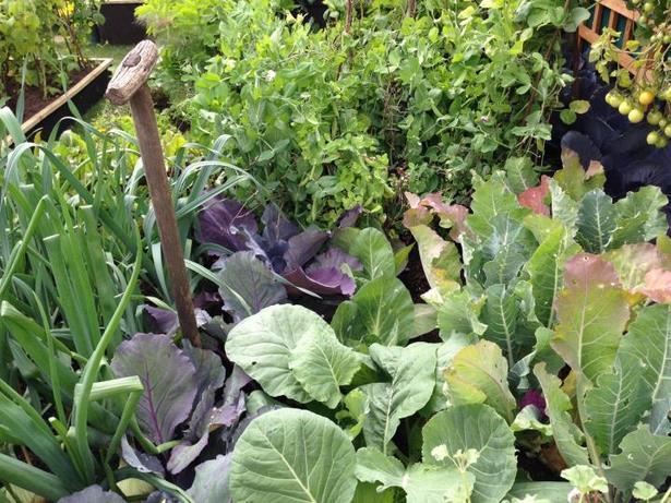 small-space-vegetable-garden-design-42_2 Малко пространство зеленчукова градина дизайн