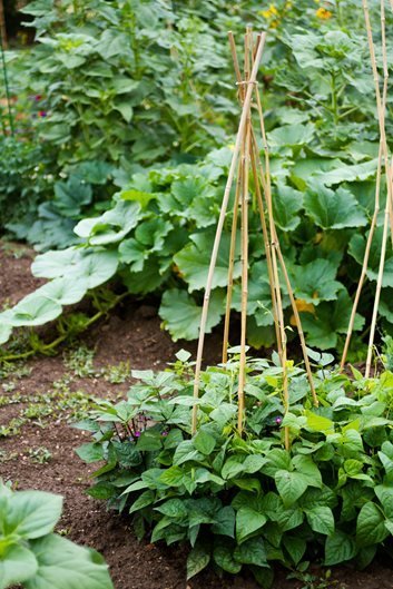 small-space-vegetable-garden-design-42_9 Малко пространство зеленчукова градина дизайн