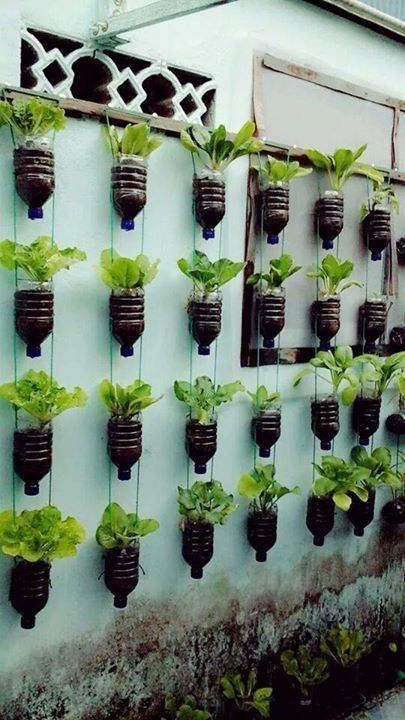 space-saving-vegetable-garden-ideas-12_11 Спестяване на място идеи за зеленчукова градина