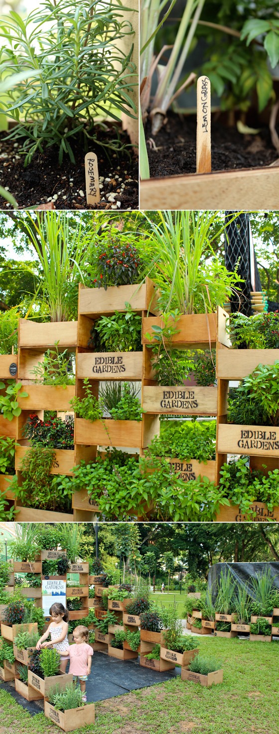 space-saving-vegetable-garden-ideas-12_12 Спестяване на място идеи за зеленчукова градина