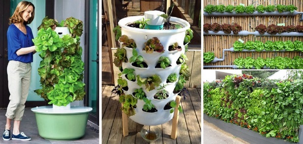 space-saving-vegetable-garden-ideas-12_13 Спестяване на място идеи за зеленчукова градина