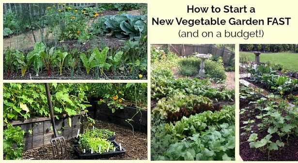 space-saving-vegetable-garden-ideas-12_15 Спестяване на място идеи за зеленчукова градина