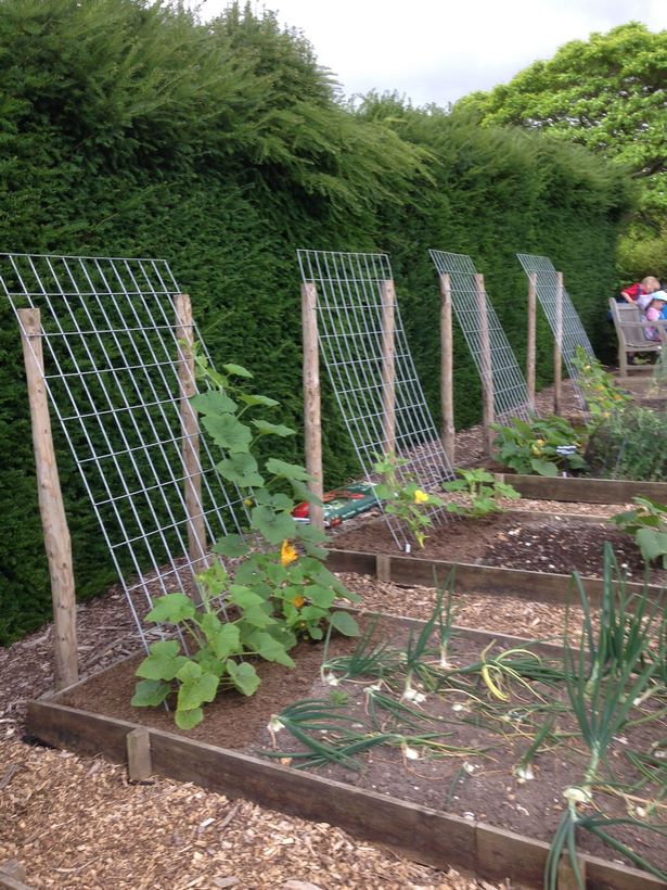 space-saving-vegetable-garden-ideas-12_17 Спестяване на място идеи за зеленчукова градина