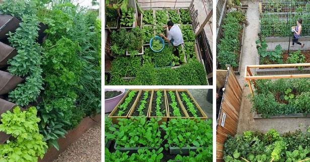 space-saving-vegetable-garden-ideas-12_18 Спестяване на място идеи за зеленчукова градина
