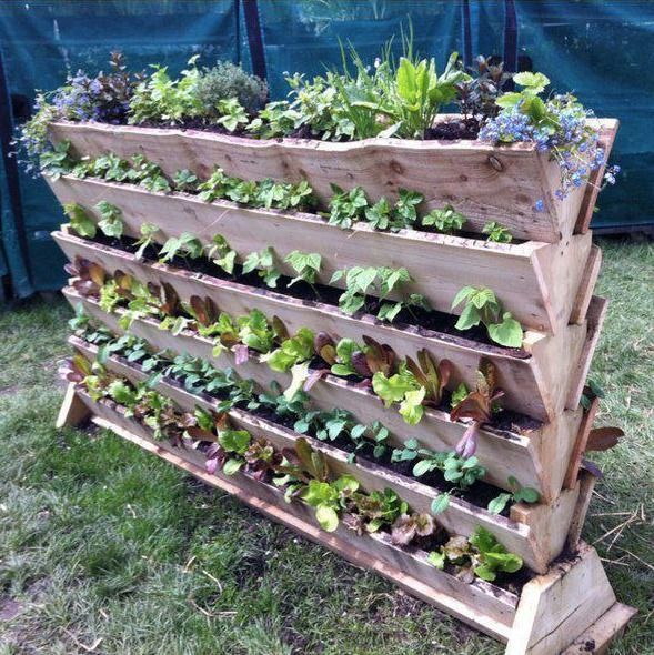 space-saving-vegetable-garden-ideas-12_19 Спестяване на място идеи за зеленчукова градина