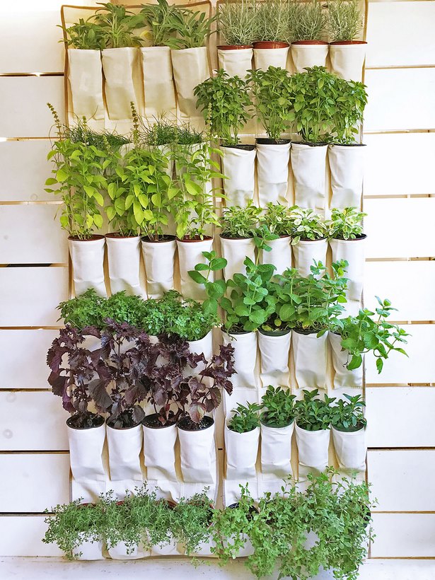 space-saving-vegetable-garden-ideas-12_3 Спестяване на място идеи за зеленчукова градина