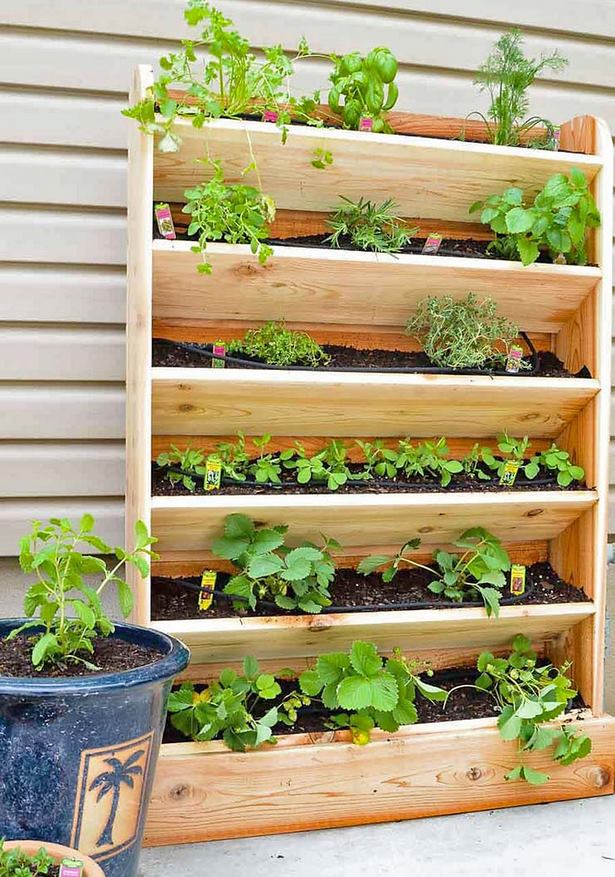 space-saving-vegetable-garden-ideas-12_4 Спестяване на място идеи за зеленчукова градина