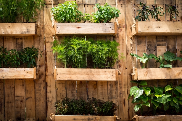 space-saving-vegetable-garden-ideas-12_5 Спестяване на място идеи за зеленчукова градина