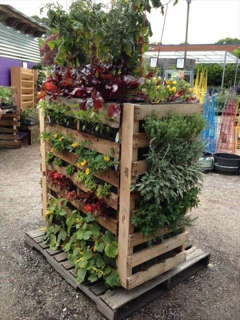space-saving-vegetable-garden-ideas-12_6 Спестяване на място идеи за зеленчукова градина
