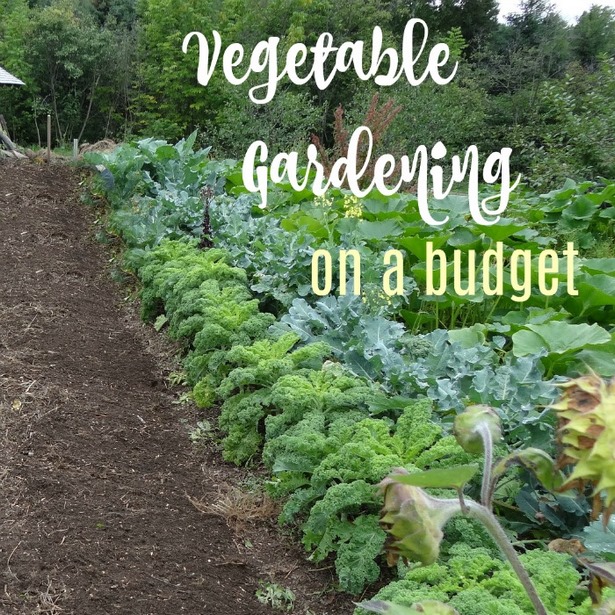 space-saving-vegetable-garden-ideas-12_9 Спестяване на място идеи за зеленчукова градина