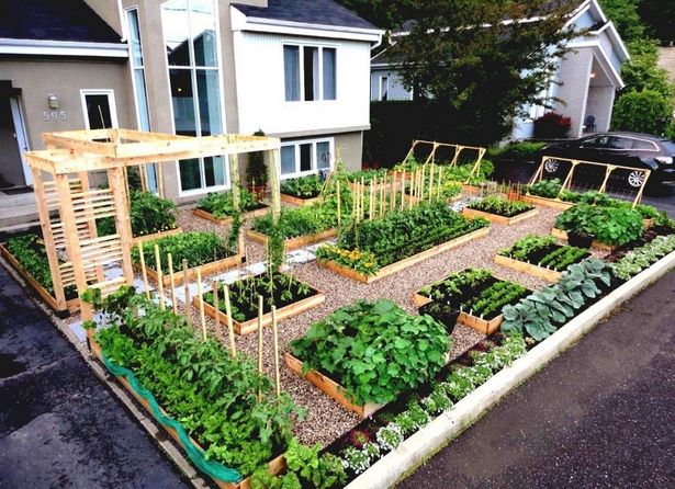 vegetable-garden-design-for-small-spaces-81_13 Дизайн на зеленчукова градина за малки пространства