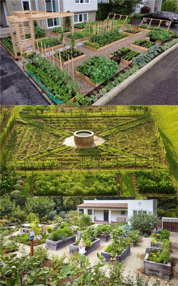 Зеленчукова градина дизайн идеи малки градини