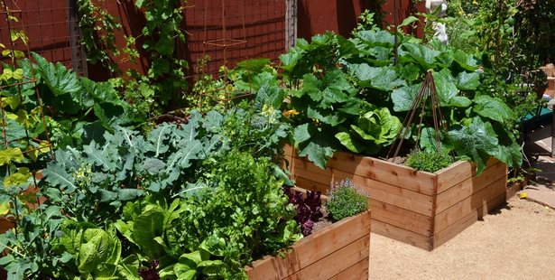 vegetable-garden-design-ideas-small-gardens-41_12 Зеленчукова градина дизайн идеи малки градини