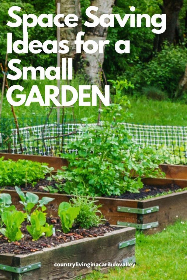 vegetable-garden-design-ideas-small-gardens-41_17 Зеленчукова градина дизайн идеи малки градини